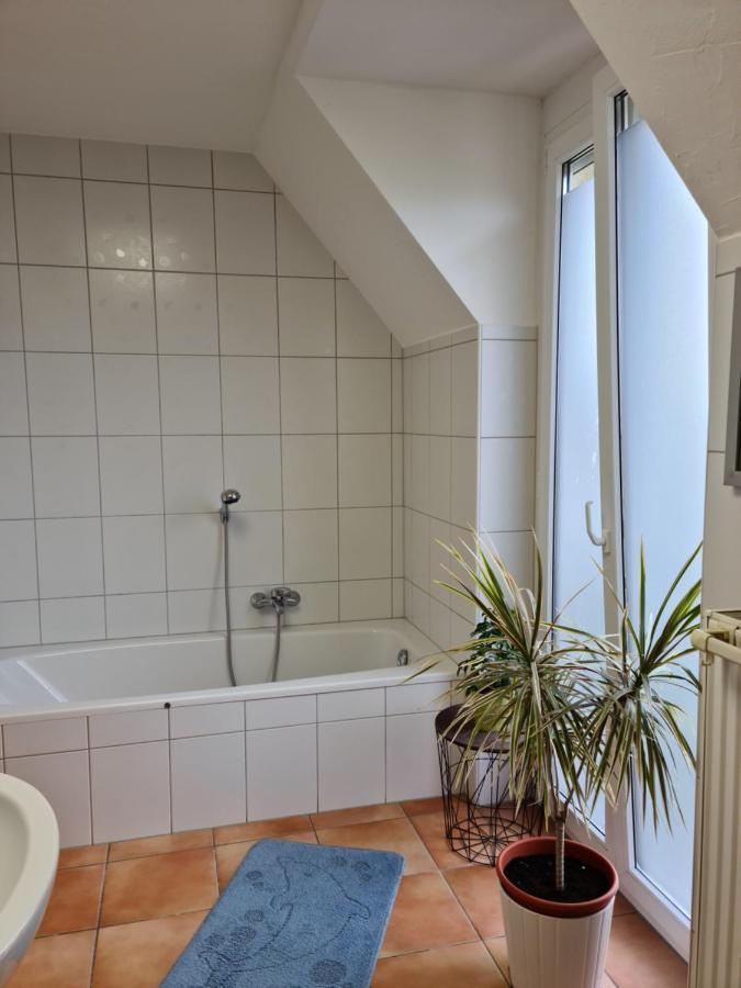 Lichtdurchflutetes Zimmer - Kaeppele Waldbuttelbrunn Kültér fotó